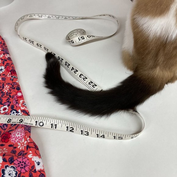 Meet your Posher - Picture 3 of 4